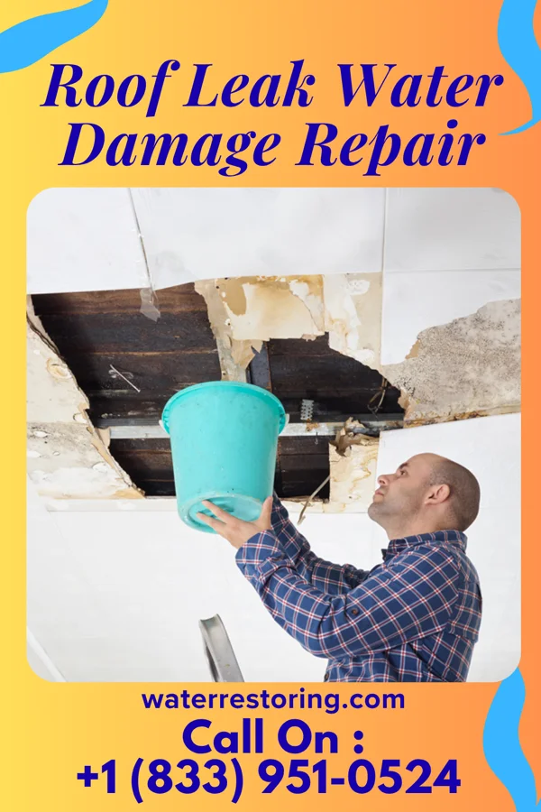 Roof Leak Water Damage Repair in McCleary, WA